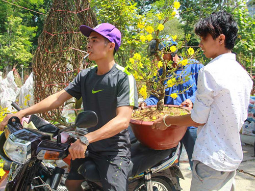 [-]Sài[-]Gòn[-]chiều[-]cuối[-]năm,[-]đào[-]mai[-]lên[-]xe[-]rác